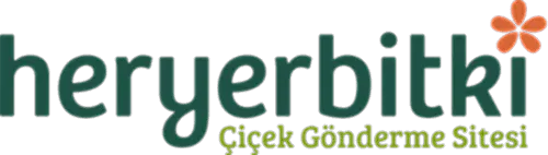 heryerbitki.com